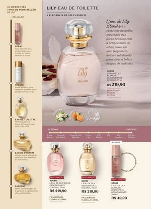 Ciclo 1 boticário 2026 CO/SE/N Brasil página 33