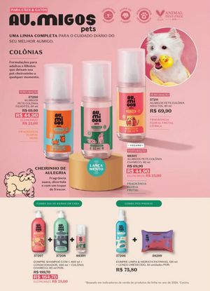 Ciclo 1 boticário 2026 CO/SE/N Brasil página 177