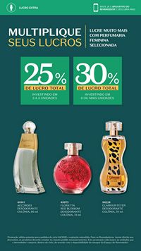 Ciclo revendedores boticário 2026 Revendedores NE Brasil página 22