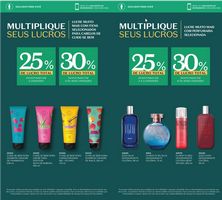 Ciclo revendedores boticário 2026 Revendedores NE Brasil página 12