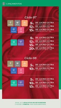 Ciclo revendedores boticário 2026 Revendedores NE Brasil página 7