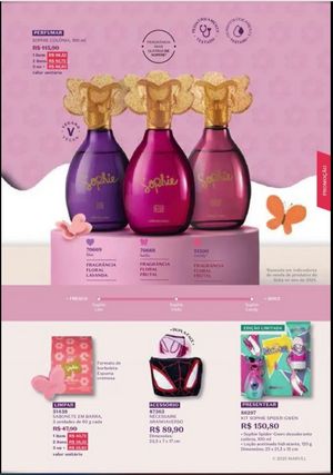 Ciclo 6 boticário 2026 SSP Brasil página 110