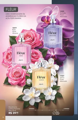 Episódio Jequiti 17 2026 Brasil página 36