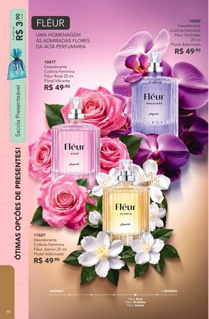 Episódio Jequiti 4 2026 Brasil página 60