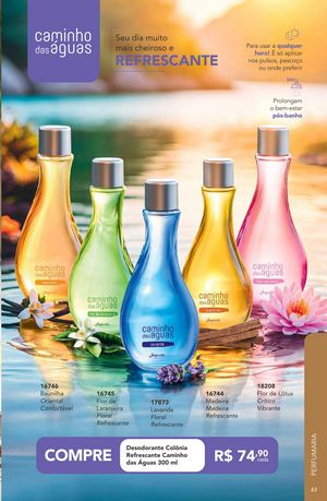 Episódio Jequiti 4 2026 Brasil página 63