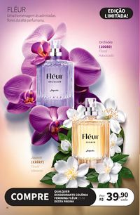 Episódio Jequiti 6 2026 Brasil página 36