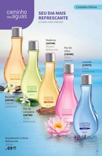 Episódio Jequiti 7 2026 Brasil página 53