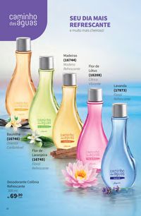 Episódio Jequiti 8 2026 Brasil página 18